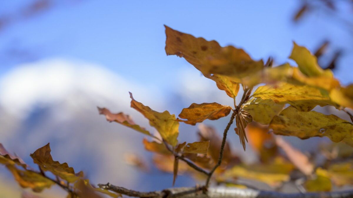 autumn in Valsassina