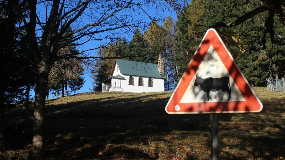 sentieri all'alpe giumello