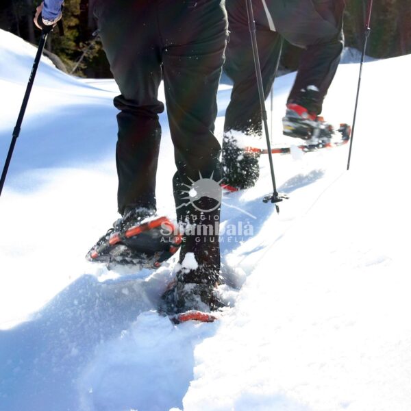 Ciaspolate invernali sull’Alpe Giumello