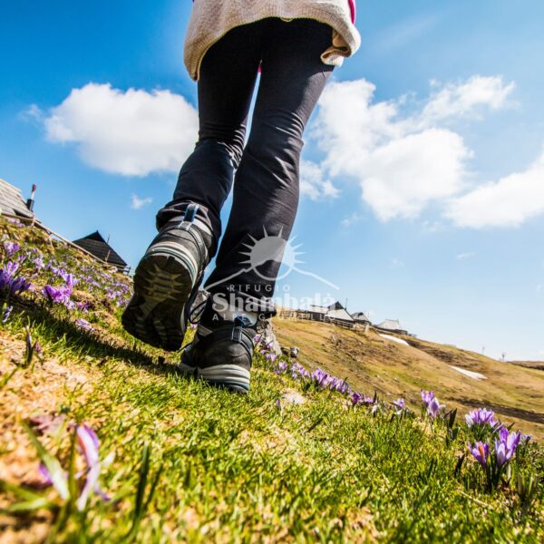 Escursioni di primavera al Rifugio Shambalà